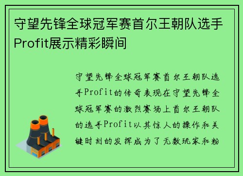 守望先锋全球冠军赛首尔王朝队选手Profit展示精彩瞬间
