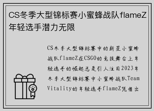 CS冬季大型锦标赛小蜜蜂战队flameZ年轻选手潜力无限